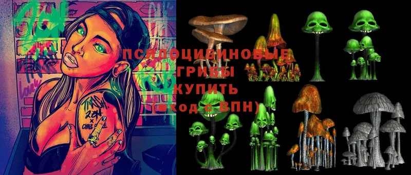 закладки  Болохово  darknet наркотические препараты  Псилоцибиновые грибы ЛСД 